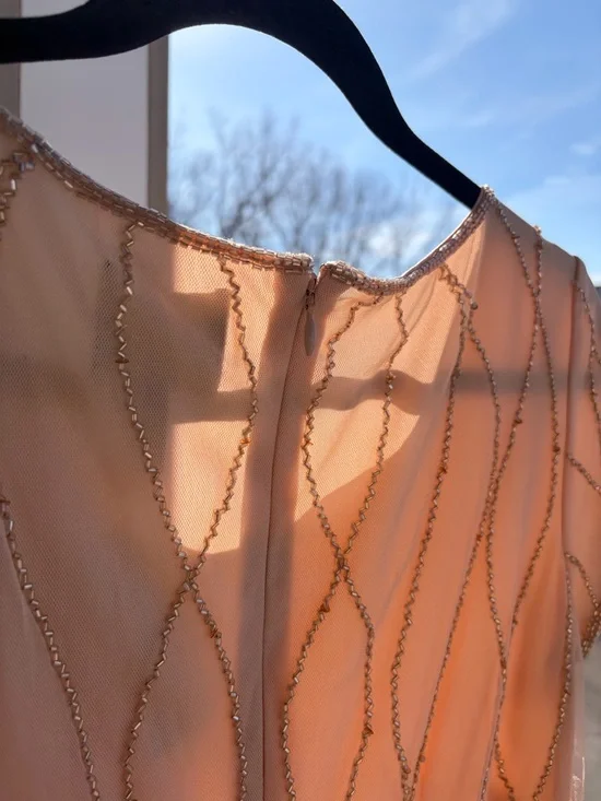 🆕✨ Adrianna Papell Blush Beaded Mesh Gown Maxi Dress Size 8 Sequin Nude Pink - Picture 11 of 16